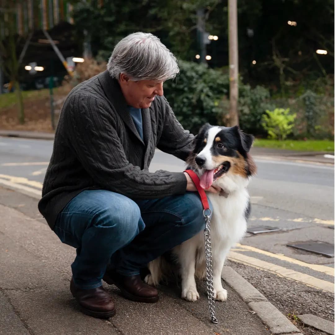 Psychiatric Service Dog