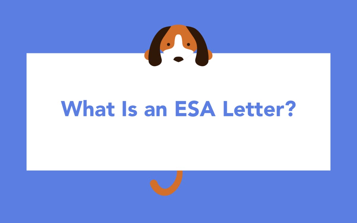 What Is an ESA Letter?