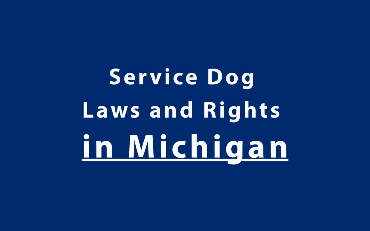 Service Dog Laws and Rights in Michigan