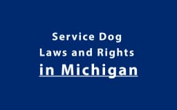 Service Dog Laws and Rights in Michigan