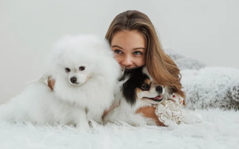 Low-Maintenance Hypoallergenic Dogs: The Best Breeds for Allergy Sufferers