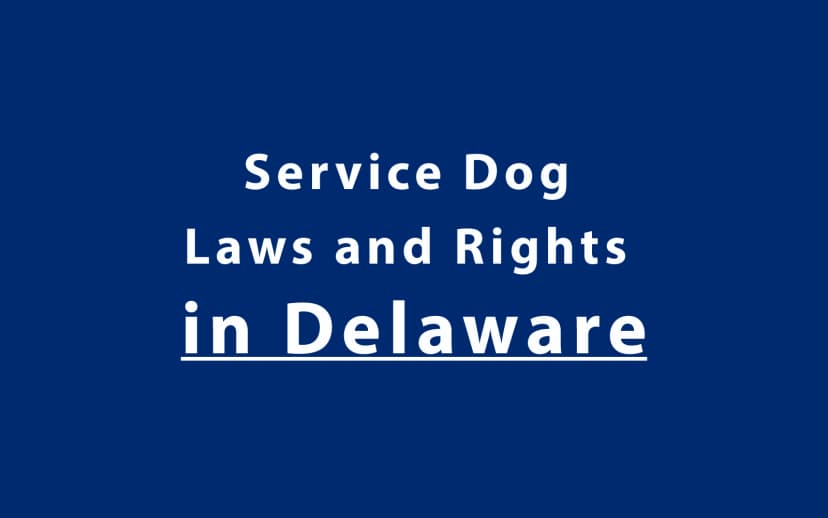 Service Dog Laws and Rights in Delaware
