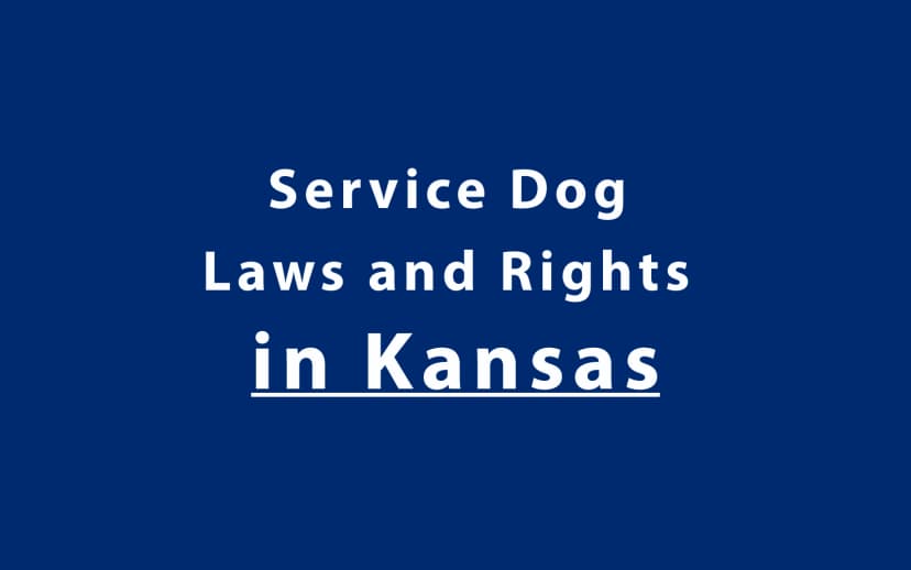 Service Dog Laws and Rights in Kansas