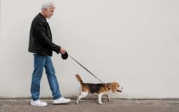 How to Determine if You Need a Service Dog