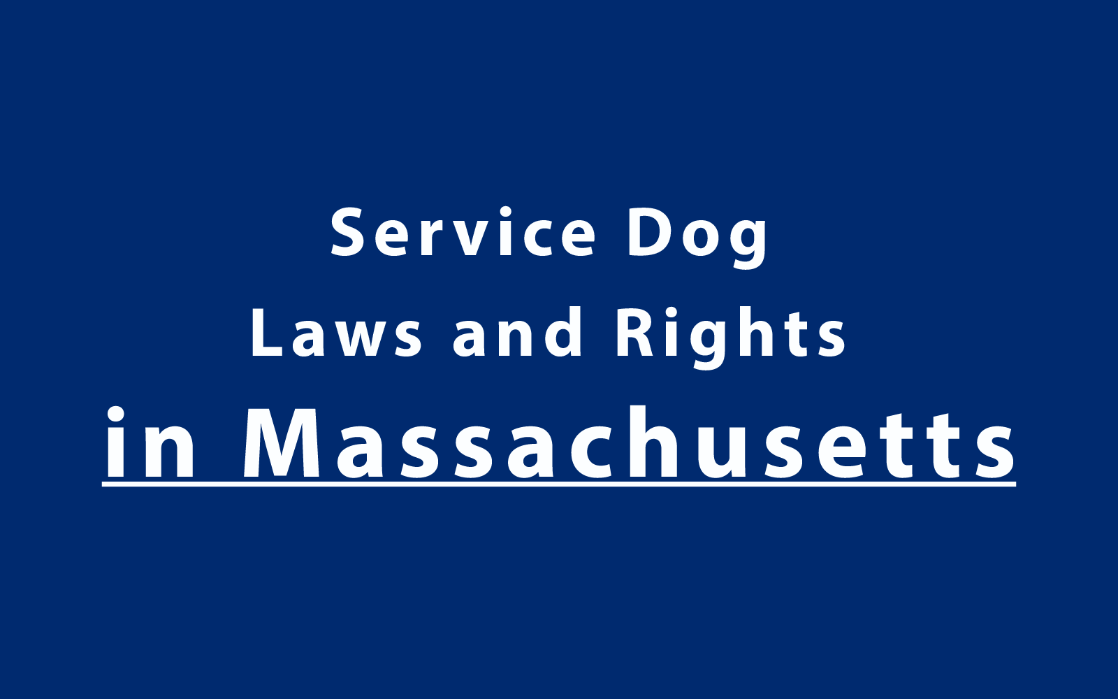 Service Dog Laws and Rights in Massachusetts
