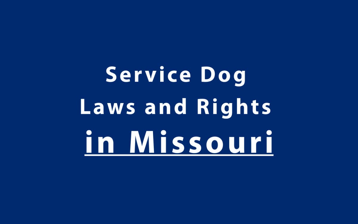 Service Dog Laws and Rights in Missouri
