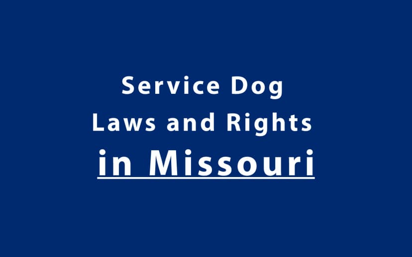 Service Dog Laws and Rights in Missouri