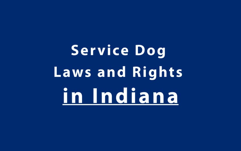 Service Dog Laws and Rights in Indiana