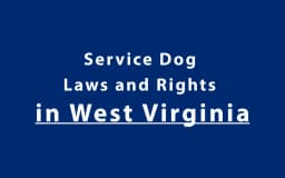 Service Dog Laws and Rights in West Virginia