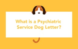 What is a Psychiatric Service Dog Letter