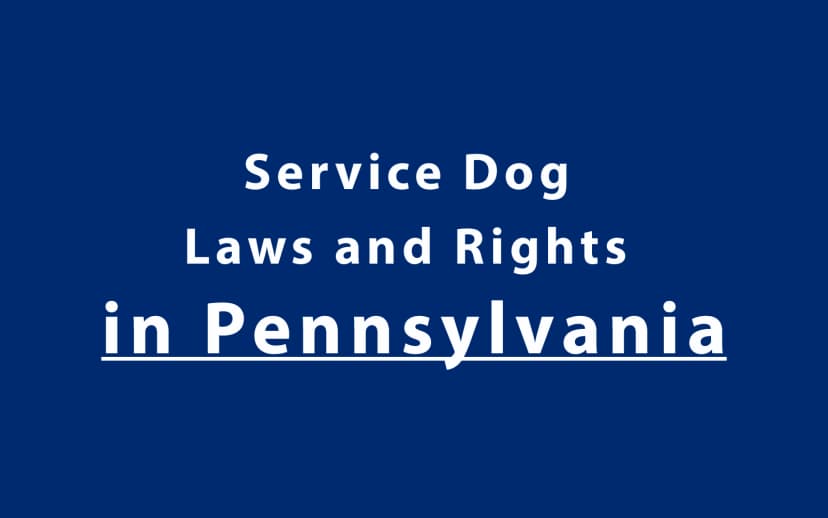 Service Dog Laws and Rights in Pennsylvania
