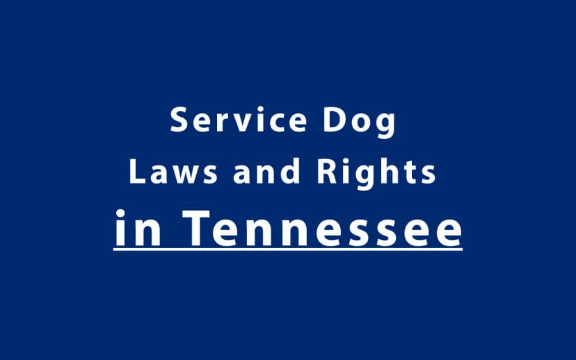 Service Dog Laws and Rights in Tennessee