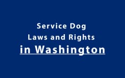 Service Dog Laws and Rights in Washington