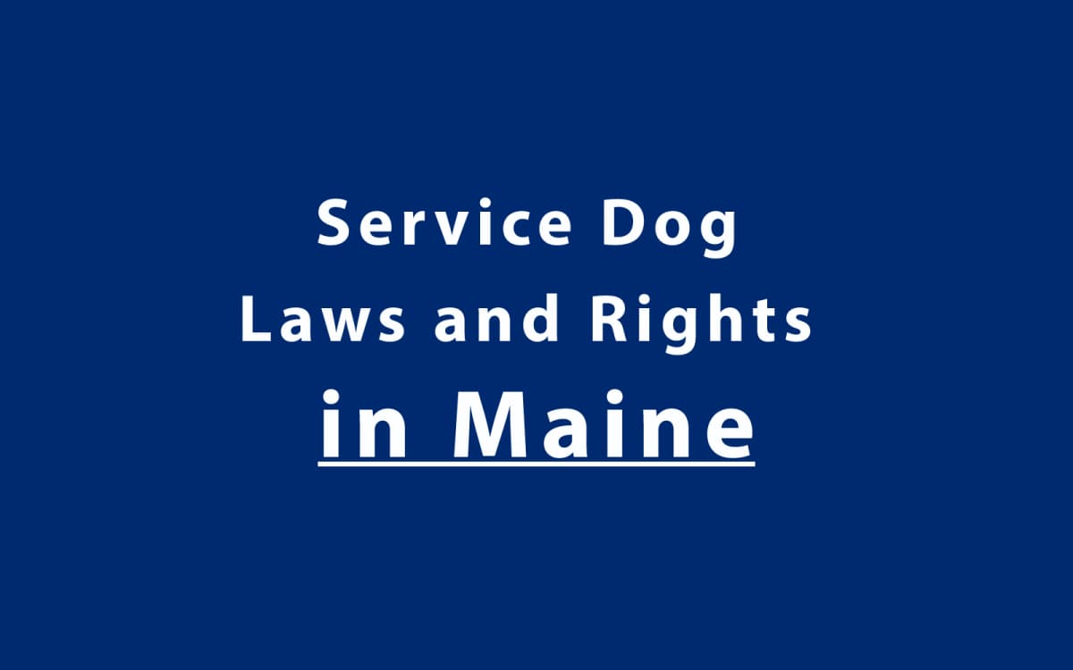 Service Dog Laws and Rights in Maine