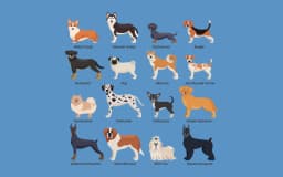 Most Popular Dog Breeds in the U.S. for 2025