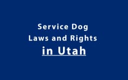 Service Dog Laws and Rights in Utah