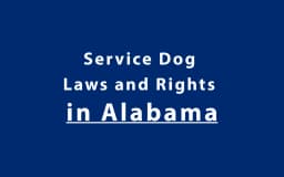 Service Dog Laws and Rights in Alabama