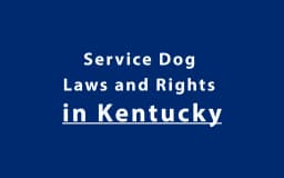 Service Dog Laws and Rights in Kentucky