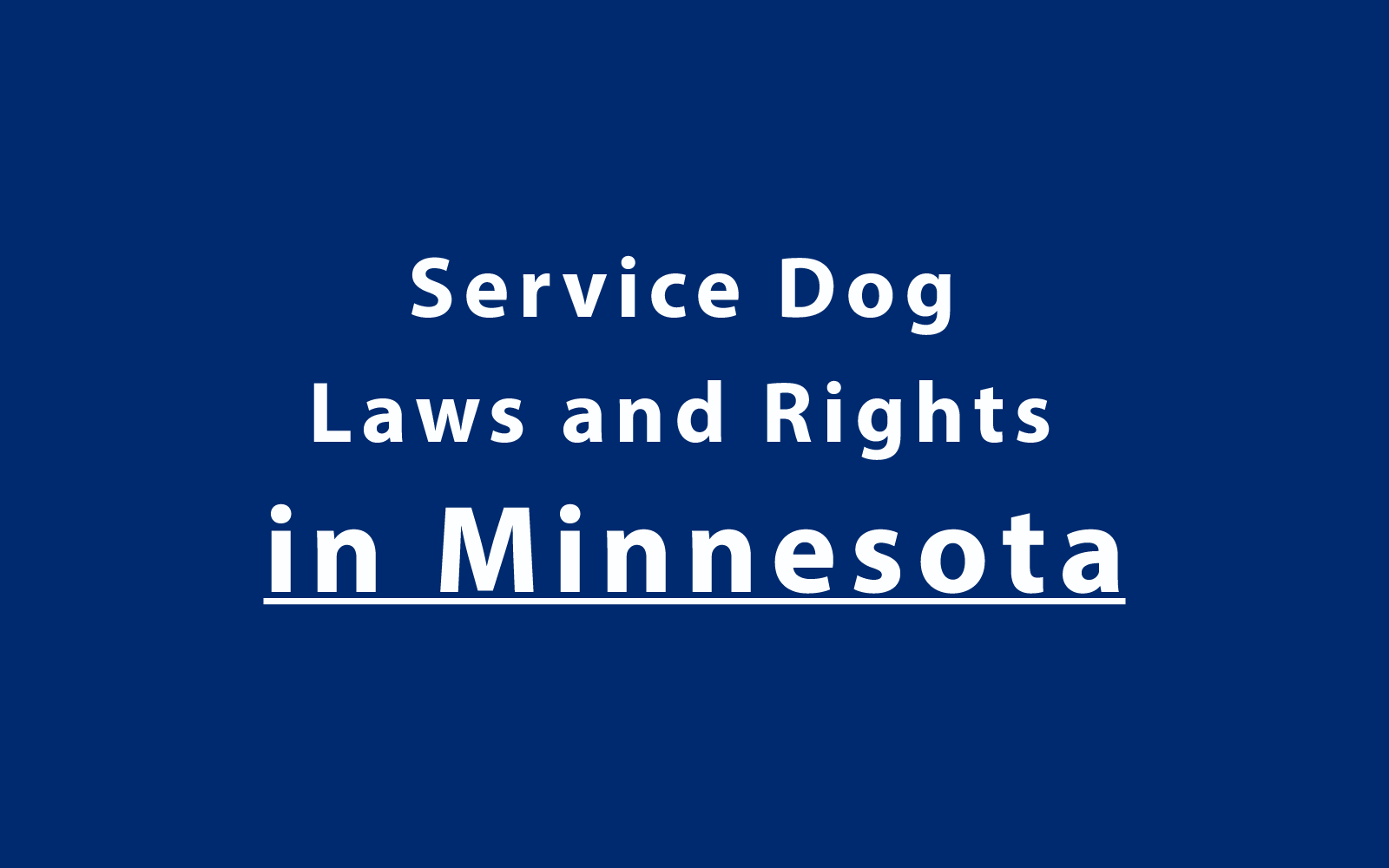 Service Dog Laws and Rights in Minnesota