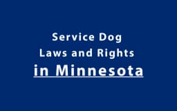 Service Dog Laws and Rights in Minnesota