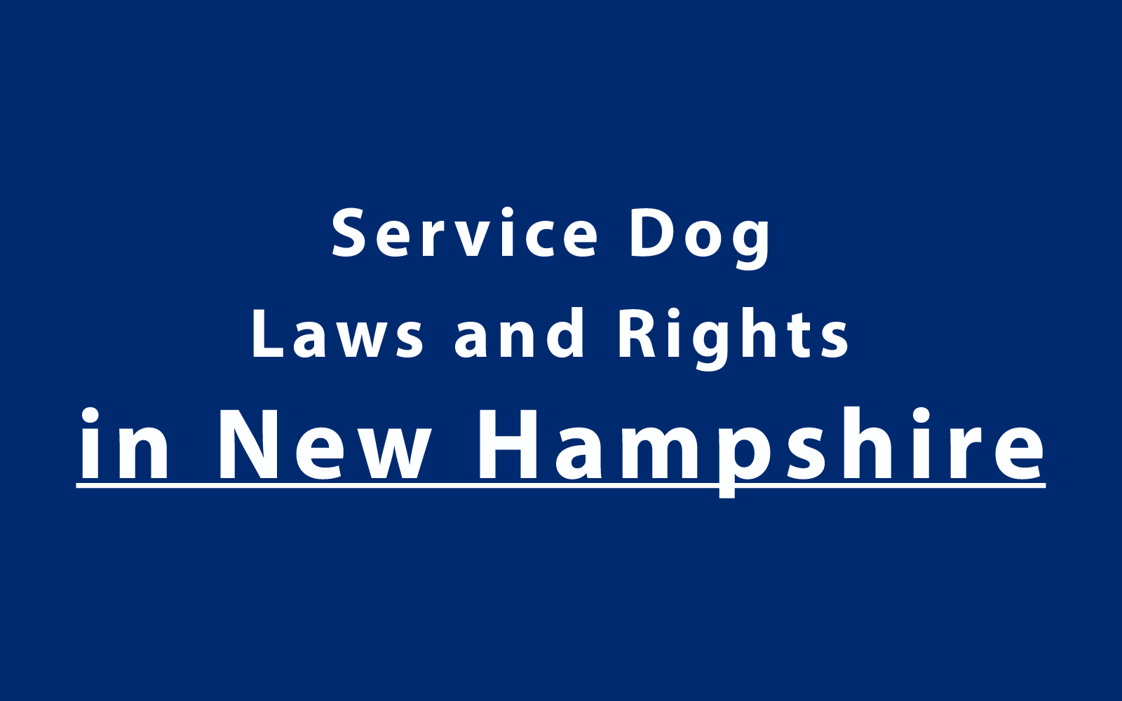 Service Dog Laws and Rights in New Hampshire
