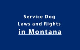 Service Dog Laws and Rights in Montana
