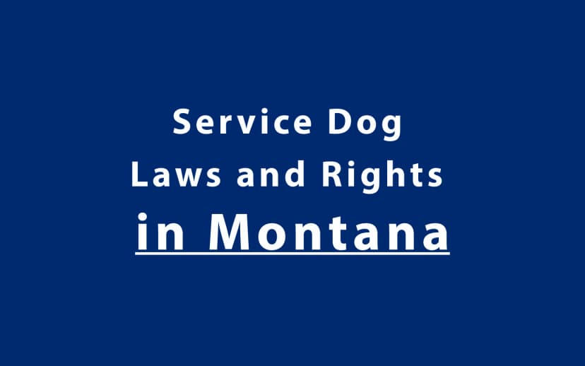 Service Dog Laws and Rights in Montana