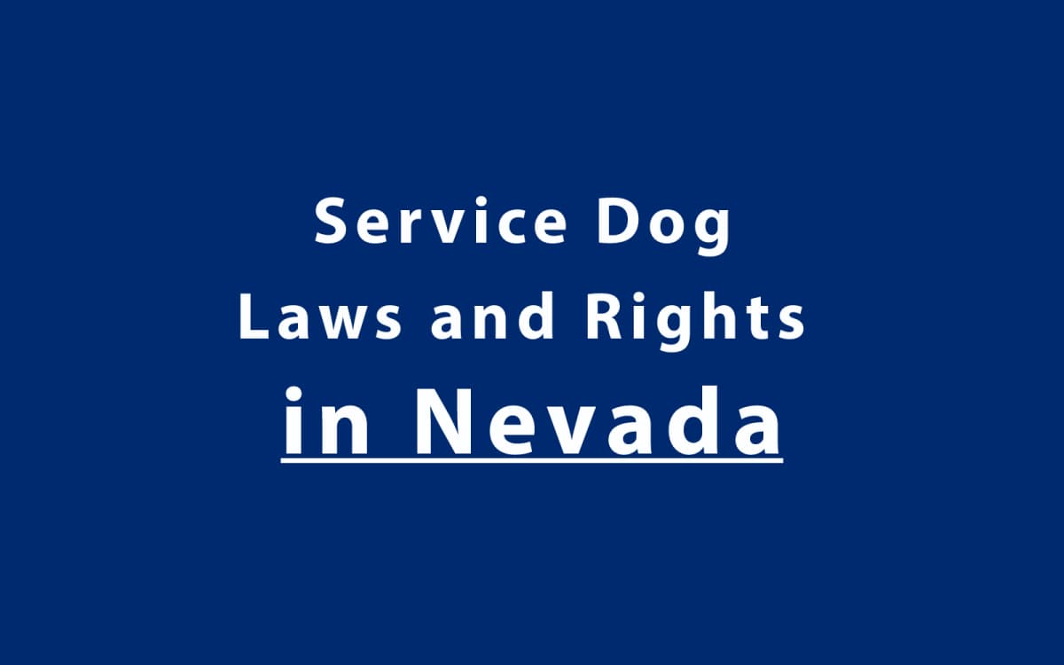 Service Dog Laws and Rights in Nevada