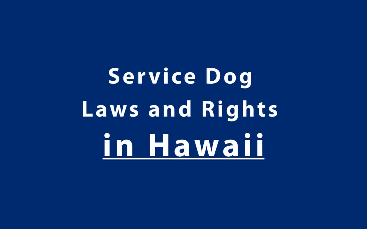 Service Dog Laws and Rights in Hawaii