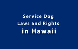 Service Dog Laws and Rights in Hawaii