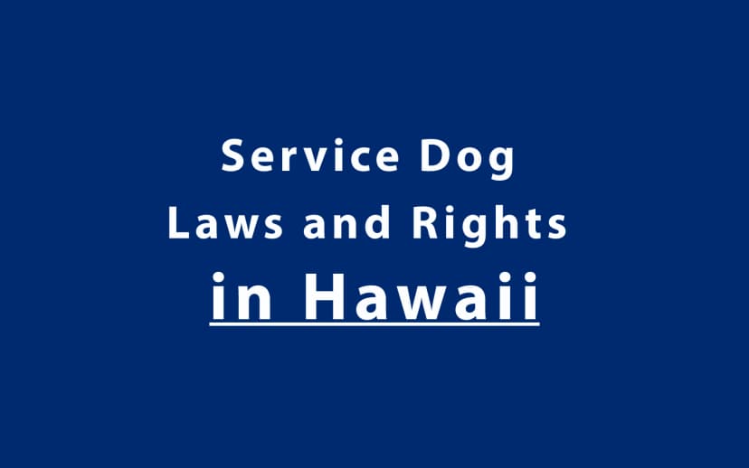 Service Dog Laws and Rights in Hawaii